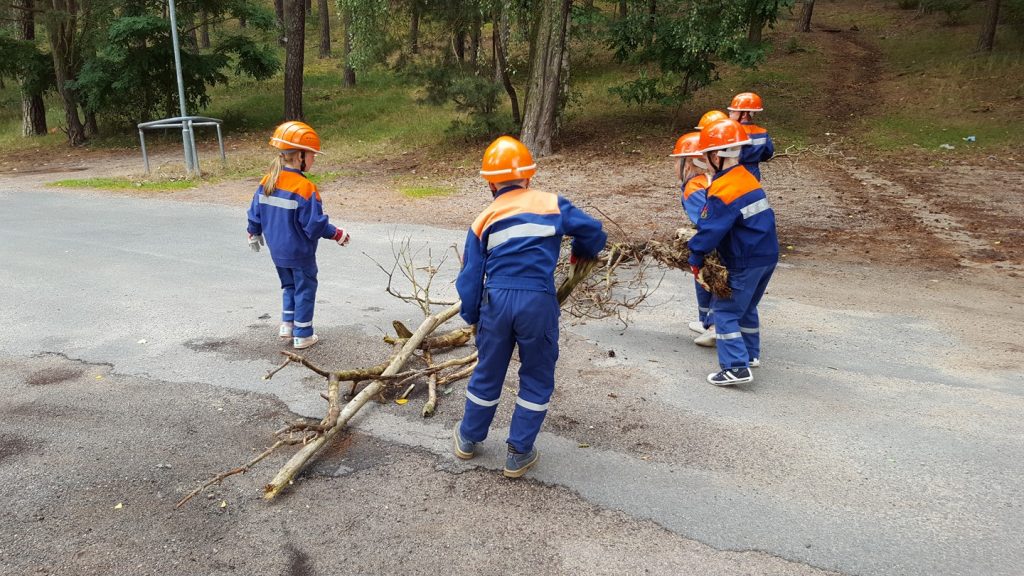 HILFELEISTUNG BAUM AUF STRASSE