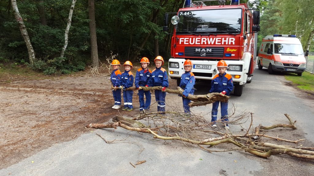 HILFELEISTUNG BAUM AUF STRASSE 